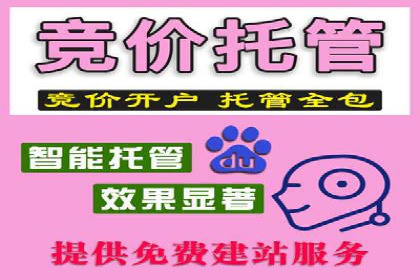 某公司通过百度竞价实现业务快速增长的案例